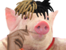 https://image.noelshack.com/fichiers/2018/25/2/1529412342-1526438810-xxxpig002.png