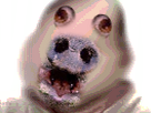 https://image.noelshack.com/minis/2018/25/2/1529442532-49481.png