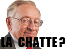 https://image.noelshack.com/fichiers/2018/25/3/1529481030-lachattess.png