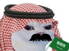 https://image.noelshack.com/minis/2018/25/3/1529507988-saoude.png