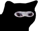 https://image.noelshack.com/fichiers/2018/25/3/1529508632-kitt-ninja.png