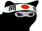 https://image.noelshack.com/fichiers/2018/25/3/1529509653-kitt-jap.png