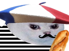 https://image.noelshack.com/fichiers/2018/25/3/1529516947-kitt-fr16.png