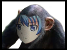 https://image.noelshack.com/minis/2018/25/3/1529529836-singeenf.png