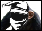 https://image.noelshack.com/minis/2018/25/4/1529572644-singekoala.png