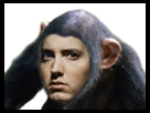https://image.noelshack.com/minis/2018/25/4/1529573127-singeleader.png