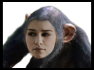 https://image.noelshack.com/minis/2018/25/4/1529574126-singekhal.png