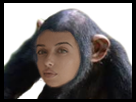 https://image.noelshack.com/minis/2018/25/4/1529576604-singemetis.png