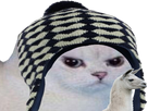 https://image.noelshack.com/fichiers/2018/25/4/1529577532-kitt-po2.png