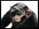 https://image.noelshack.com/minis/2018/25/4/1529581027-singeraiden.png