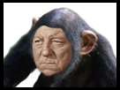 https://image.noelshack.com/minis/2018/25/4/1529581304-singegabin.png