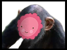 https://image.noelshack.com/minis/2018/25/4/1529586936-singefleur.png