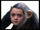 https://image.noelshack.com/minis/2018/25/4/1529600295-singearia.png