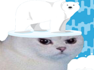 https://image.noelshack.com/minis/2018/25/5/1529621434-kitt-is8.png