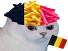 https://image.noelshack.com/fichiers/2018/25/5/1529703682-kitt-blg8.png