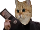 https://image.noelshack.com/minis/2018/25/6/1529745838-1482513461-astierpolicerisitas.png