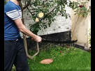 https://image.noelshack.com/minis/2018/25/6/1529773282-20180623-185627-1.png
