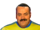 https://image.noelshack.com/fichiers/2018/25/6/1529782043-risitaswc125.png