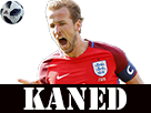 https://image.noelshack.com/fichiers/2018/25/7/1529843197-coupe-du-monde-angleterre-panama-kane-kaned.png