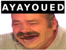 https://image.noelshack.com/minis/2018/26/1/1529925327-ayayoued.png
