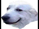 https://image.noelshack.com/fichiers/2018/26/1/1529945514-emote.png