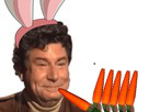 https://image.noelshack.com/fichiers/2018/26/2/1530010916-carottes.jpeg