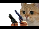 https://image.noelshack.com/fichiers/2018/26/2/1530032197-1491933857-risico-pb.png