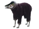 https://image.noelshack.com/minis/2018/26/2/1530043855-chien-saumon-ffd.png