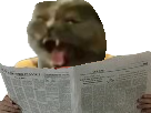 https://image.noelshack.com/fichiers/2018/26/3/1530122503-journal.png