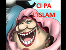 https://image.noelshack.com/fichiers/2018/26/5/1530291237-cipalislam.jpg