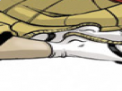 https://image.noelshack.com/fichiers/2018/26/5/1530293643-28-8fyj28w0.png