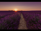 https://image.noelshack.com/fichiers/2018/26/6/1530344949-champs-de-lavandes.jpg