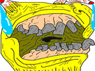 https://image.noelshack.com/minis/2018/26/6/1530356168-10856.png
