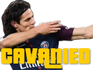 https://image.noelshack.com/fichiers/2018/26/6/1530382292-cavanied.png