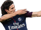 https://image.noelshack.com/minis/2018/26/6/1530382600-cavanied1.png