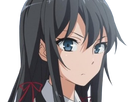 https://image.noelshack.com/fichiers/2018/26/6/1530392545-1518758742-1518757876-yukino-1.png