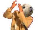 https://image.noelshack.com/minis/2018/27/1/1530490652-1467335935-jesus1.png