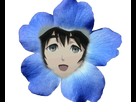 https://image.noelshack.com/minis/2018/27/1/1530493935-fleurbleue-pufreebie1.png