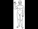 https://image.noelshack.com/fichiers/2018/27/1/1530548796-pioneer-plaque-line-drawing-of-a-human-male-svg.png