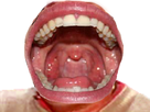https://image.noelshack.com/fichiers/2018/27/2/1530651936-boucherisitas.png