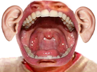 https://image.noelshack.com/minis/2018/27/2/1530651949-boucheoreille.png