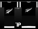 https://www.noelshack.com/2018-27-3-1530685725-nzl-maillot-champion.png