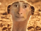 https://image.noelshack.com/fichiers/2018/27/3/1530690303-hervecat2.png