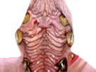 https://image.noelshack.com/minis/2018/27/3/1530696452-3258.png