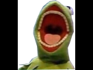 https://image.noelshack.com/fichiers/2018/27/5/1530875396-kermit-rage.png