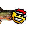 https://image.noelshack.com/fichiers/2018/27/6/1530960474-2.png