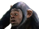 https://image.noelshack.com/minis/2018/27/7/1531009022-matuidisinge2.png