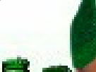 https://image.noelshack.com/fichiers/2018/28/2/1531253096-1-qe2qfew9.png