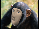 https://image.noelshack.com/minis/2018/28/4/1531404011-singe.png