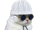 https://image.noelshack.com/minis/2018/28/7/1531661828-chat-zoom.png